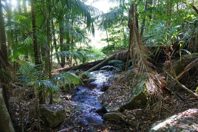 Brisbane: Hop on Hop off Bus to Tamborine Mountain - Key Points