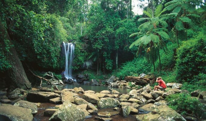Brisbane: Hop on Hop off Bus to Tamborine Mountain - Customer Reviews and Ratings