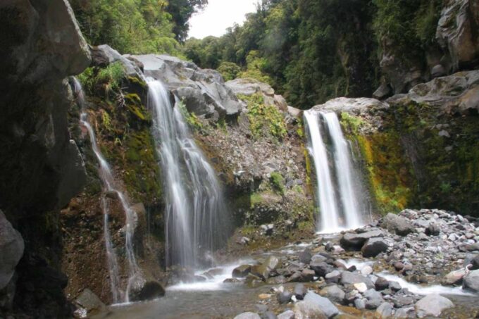 Brisbane: Hop on Hop off Bus to Tamborine Mountain - Getting to Tamborine Mountain