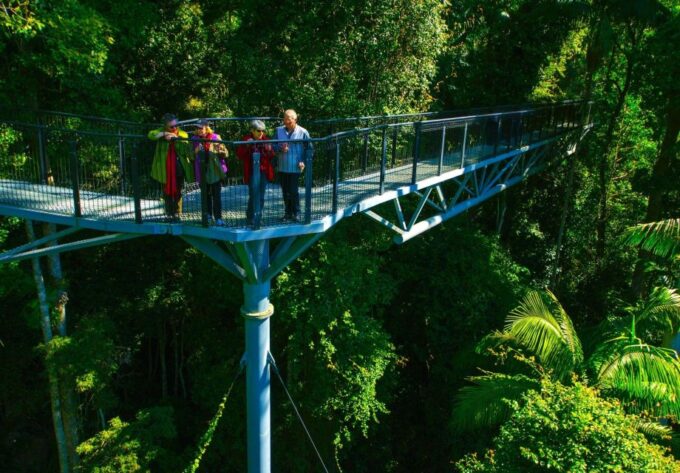 Brisbane: Hop on Hop off Bus to Tamborine Mountain - Exploring Tamborine Mountain at Leisure