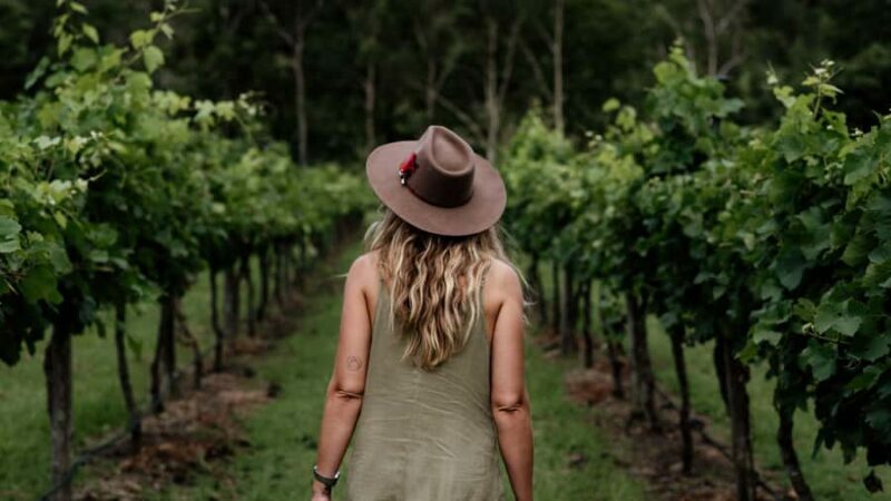 Brisbane: Luxury Winery Tour with Gourmet Lunch & Distillery - An In-Depth Look at the Brisbane Winery & Distillery Experience