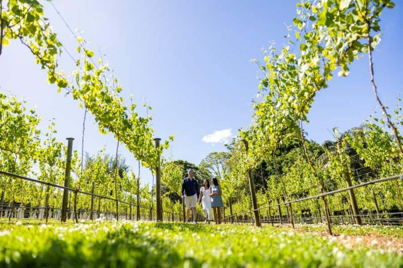 Brisbane: Luxury Winery Tour with Gourmet Lunch & Distillery - Frequently Asked Questions (FAQs)