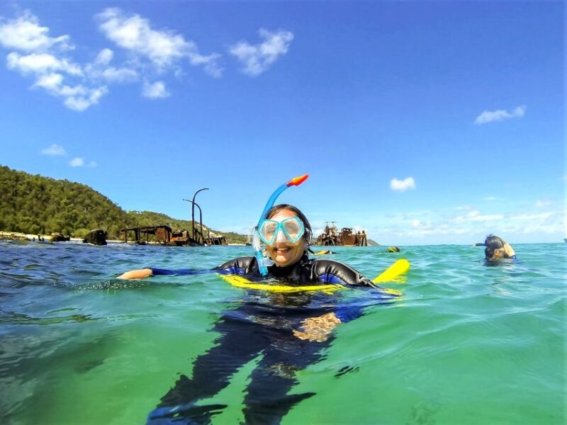 Brisbane: Moreton Island Return Ferry & Adventure Day Pass - Marine Life and Activities