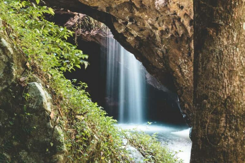 Brisbane: Rainforests, Waterfalls and Glow Worm Cave Tour - Introduction