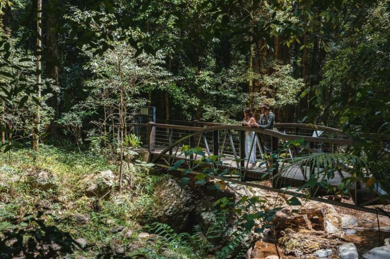 Brisbane: Rainforests, Waterfalls and Glow Worm Cave Tour - Why This Tour Offers Great Value