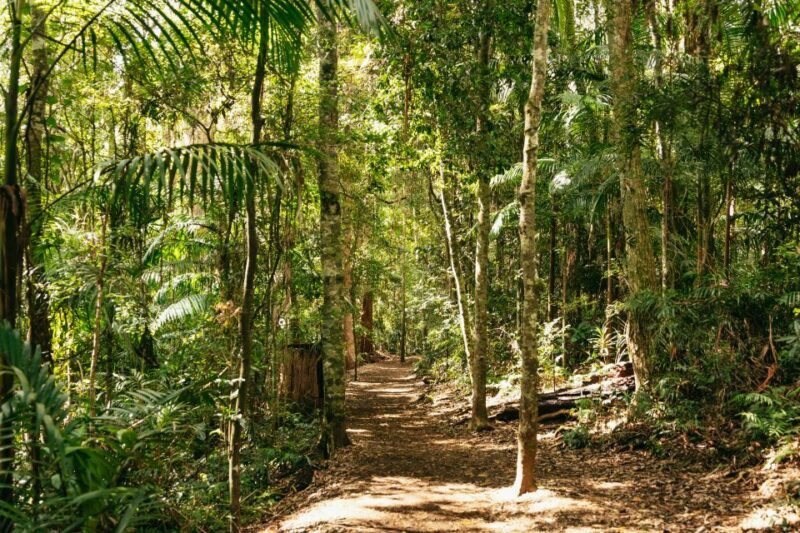Brisbane: Rainforests, Waterfalls and Glow Worm Cave Tour - Who Is This Tour Best For?