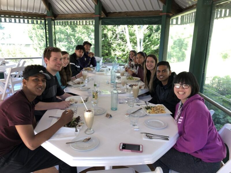 Brisbane: Springbrook and Mt Tamborine Rainforest Day Tour - Springbrook National Park