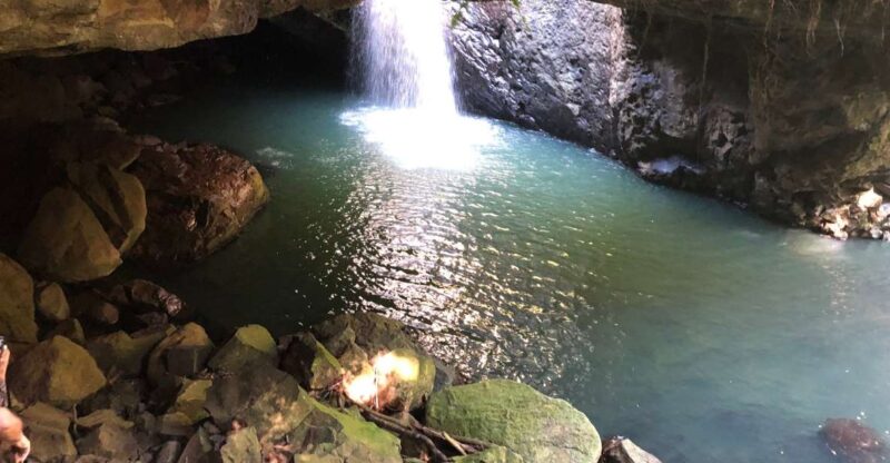 Brisbane: Springbrook and Mt Tamborine Rainforest Day Tour - Natural Bridge Attraction