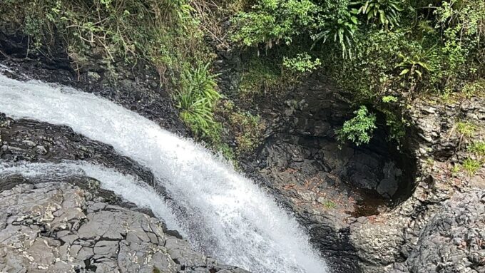 Brisbane: Springbrook and Mt Tamborine Rainforest Day Tour - Glow Worm Caves
