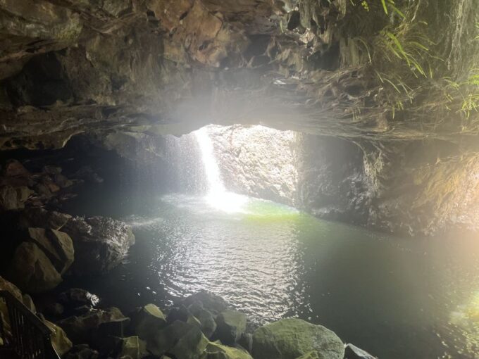 Brisbane: Springbrook and Mt Tamborine Rainforest Day Tour - Tour Inclusions and Restrictions