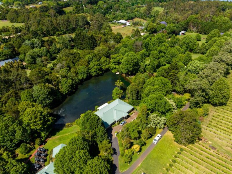 Brisbane/Tamborine Mountain: Local Winery Tour With Lunch - Inclusions