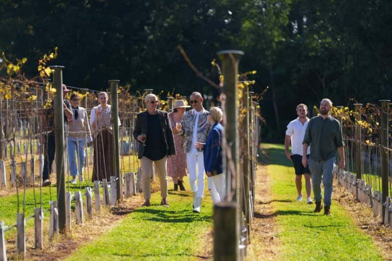 Brisbane: Tamborine Wine & Distillery Tour + 2 Course Lunch - What Travelers Are Saying