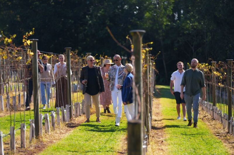 Brisbane: Tamborine Wine & Distillery Tour + 2 Course Lunch - Guided Tastings