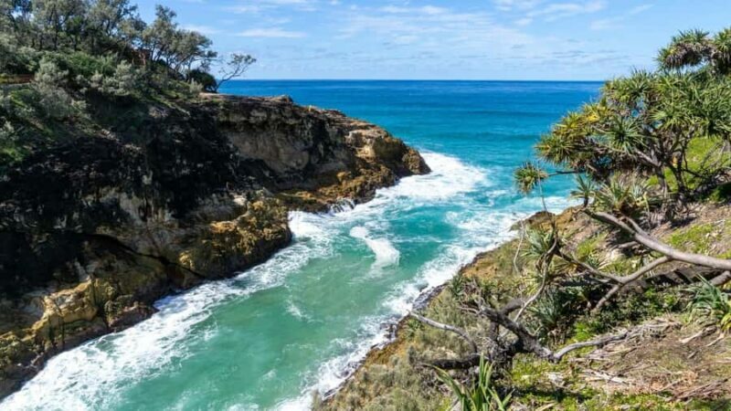 Brisbane to North Stradbroke Island Day: Wildlife & Beaches - Final Thoughts