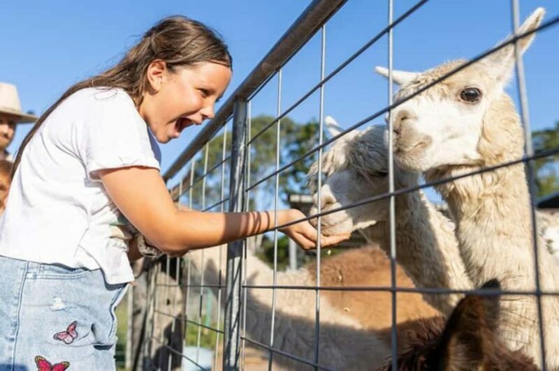 Brisbane: Trevena Glen Farm 1hr Animal Experience - An Authentic Farm Experience in a Beautiful Setting
