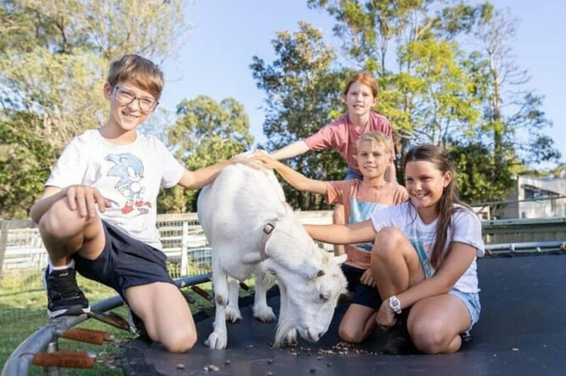 Brisbane: Trevena Glen Farm 1hr Animal Experience - Who Will Appreciate This Experience?