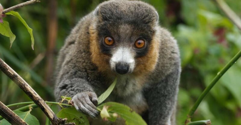 Bristol: Bristol Zoo Project Entry Ticket - Educational Experiences for Visitors