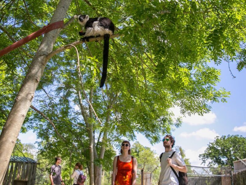 Bristol: Bristol Zoo Project Entry Ticket - Amenities and Facilities