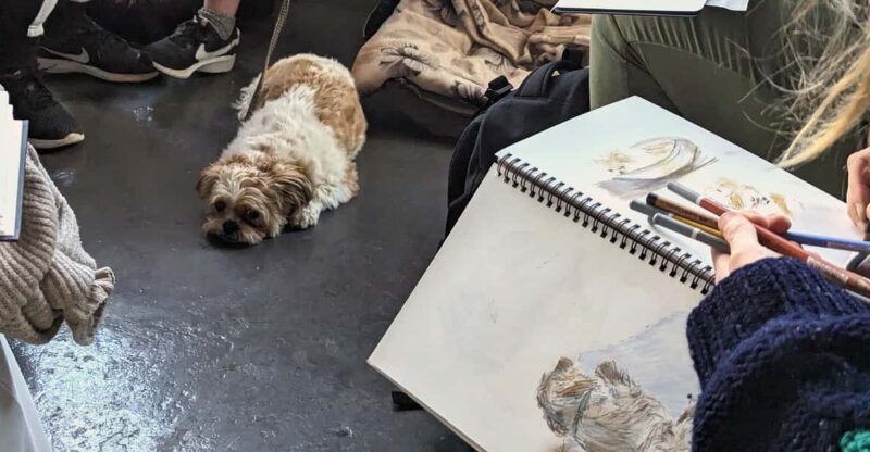 Bristol: Dog Life Drawing Led by Local Artist Cai Burton - Location and Accessibility