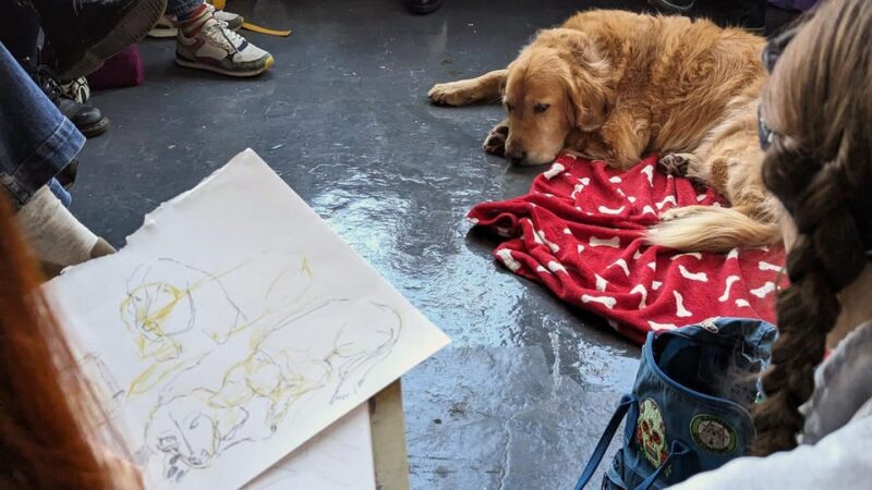 Bristol: Dog Life Drawing Led by Local Artist Cai Burton - Booking and Cancellation