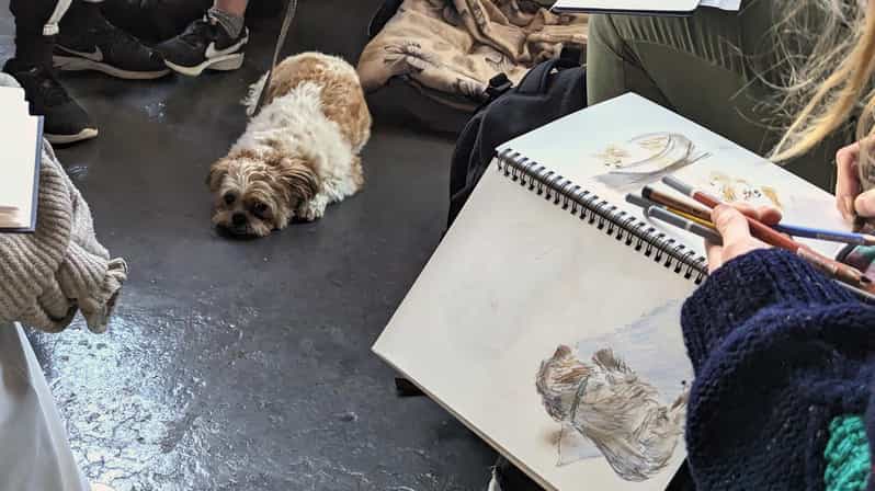 Bristol: Dog Life Drawing Led by Local Artist Cai Burton - Class Structure and Format