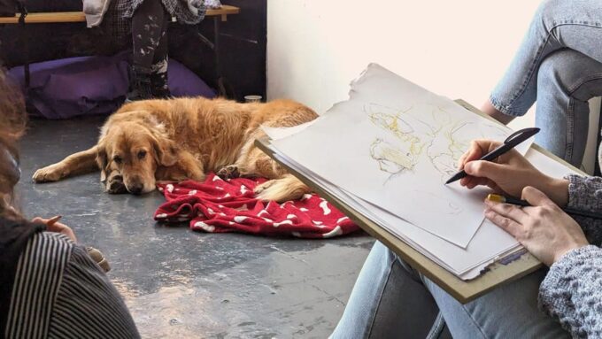 Bristol: Dog Life Drawing Led by Local Artist Cai Burton - Frequently Asked Questions