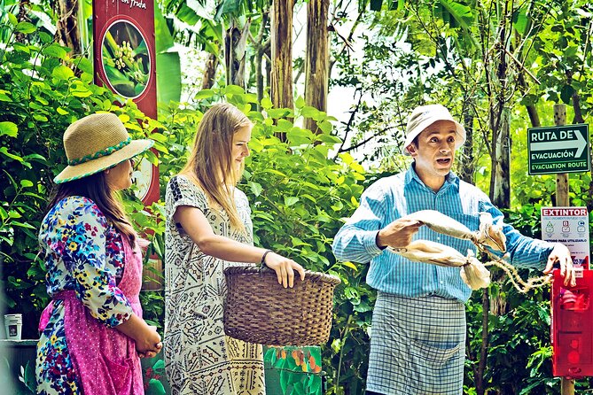 Britt Coffee Tour From San José - Booking Information