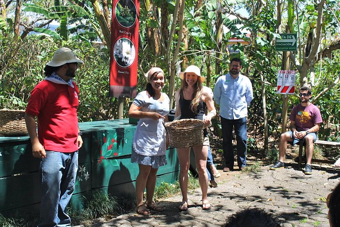 Britt Coffee Tour From San José - Ideal Climate and Landscape