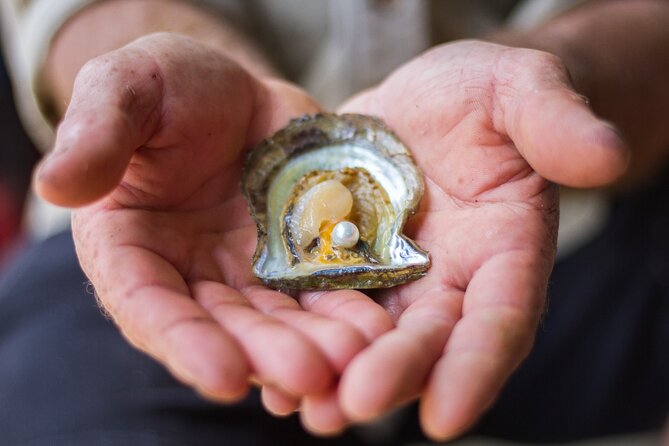 Broken Bay Pearl & Oyster Farm Tours - Pearling and Oyster Farming Experiences