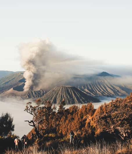 Bromo: From Surabaya Cheapest Tour 1d, With Pro Tour Guide - Weather and Physical Requirements