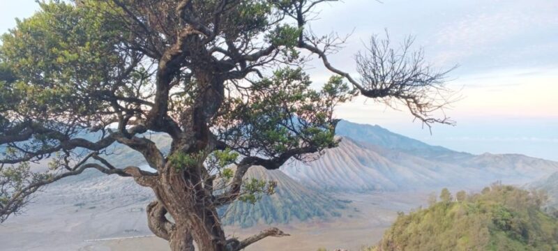 Bromo Ijen Tour From Surabaya 3 Days 2 Night - Hotel Accommodations and Meals