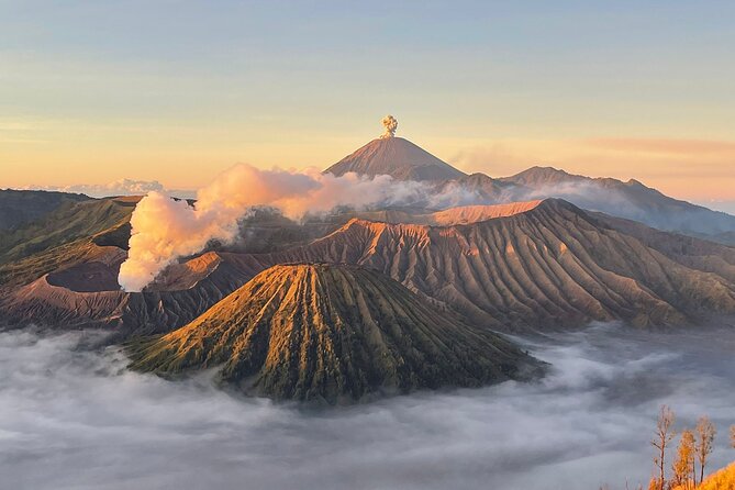 Bromo Midnight Tour 12 Hours From Surabaya - Traveler Reviews and Feedback