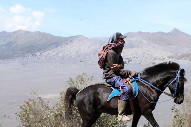 Bromo Panorama Tour to Avoid the Crowds - Start Malang // 1 Day Tour - Good To Know