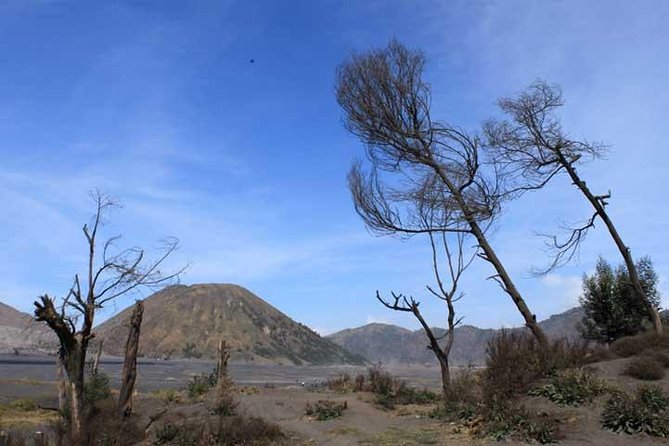 Bromo Panorama Tour to Avoid the Crowds - Start Malang // 1 Day Tour - Gunung Penanjakan Viewpoint