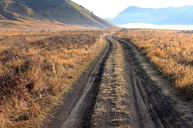Bromo Panorama Tour to Avoid the Crowds - Start Malang // 1 Day Tour - Reviews and Feedback