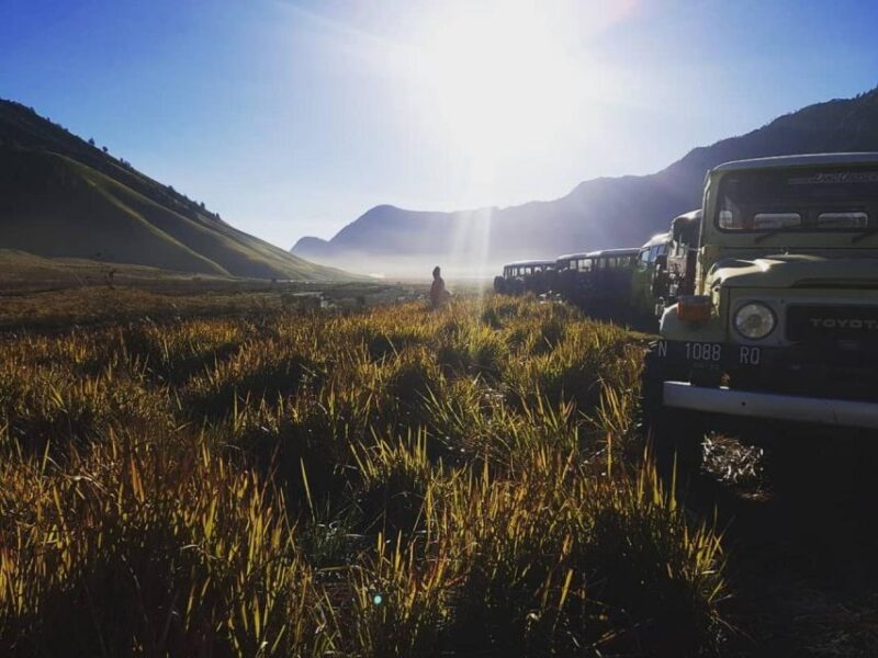 Bromo: Private Sunrise and Crater Exploration - Pricing Information