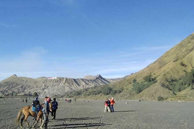 Bromo Sunrise Tour - Start Surabaya // 1 Day - Inclusions