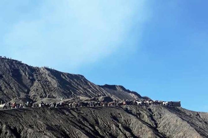 Bromo Sunrise Tour - Start Surabaya // 1 Day - Location and Price
