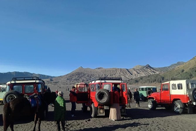 Bromo Sunrise Tour With Start in Bali - Flights Included // 1 Day Tour - Inclusions