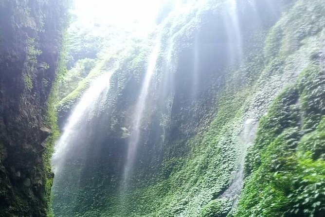 Bromo Sunrise Tour With Start in Bali - Flights Included // 1 Day Tour - Pricing and Group Size