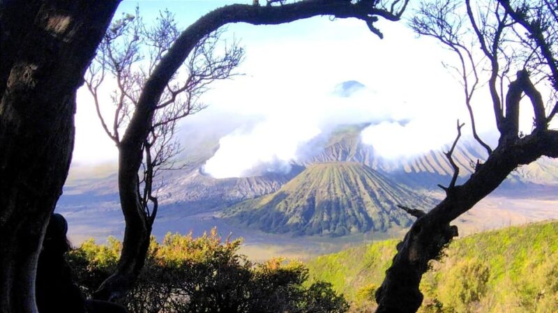 Bromo Tumpaksewu Kapasbiru Tour in 3 Days - Arrive and Depart