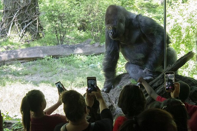 Bronx Zoo Admission Ticket - Key Points