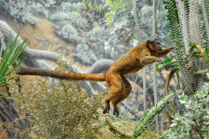 Bronx Zoo Admission Ticket - Meeting and Pick-up Details