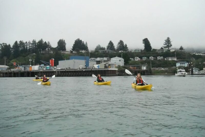 Brookings: Chetco River Kayak Tour - Kayak Safety Guidelines