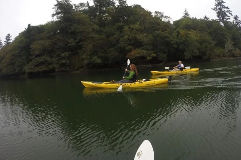 Brookings: Pacific Ocean Kayak Tour - Key Points