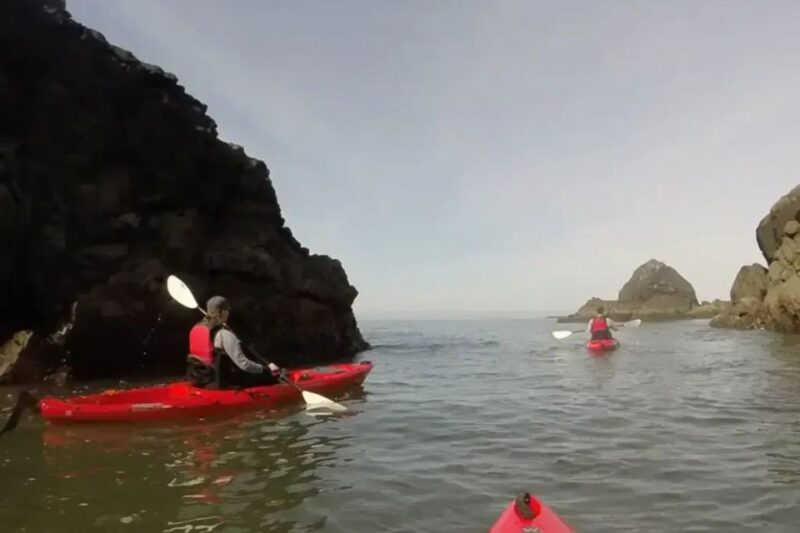 Brookings: Pacific Ocean Kayak Tour - Contact and Inquiries