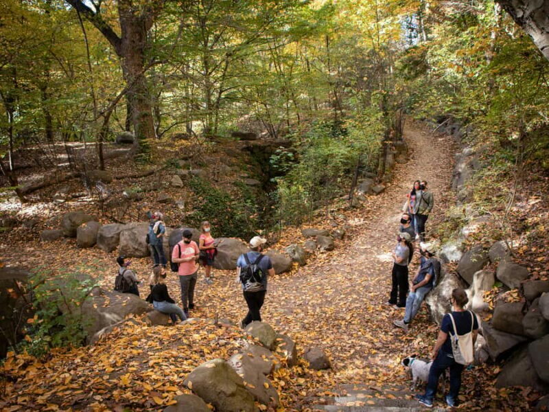 Brooklyn: 2-Hour Prospect Park Guided Walking Tour - Exploring Prospect Park: A Walking Tour Worth Your Time