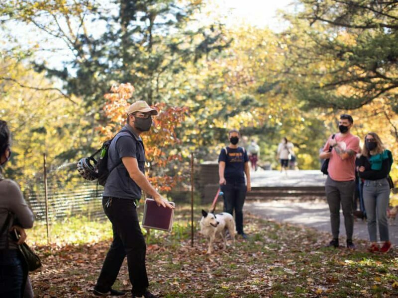 Brooklyn: 2-Hour Prospect Park Guided Walking Tour - Meeting Point and Practical Details