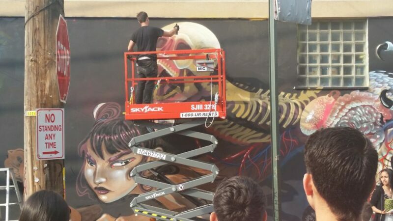 Brooklyn: Bushwick Street Art Walking Tour - Who Will Love This Tour?