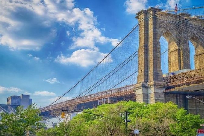 Brooklyn Double-Decker Sightseeing Bus Tour, From Lower Manhattan - Accessibility and Physical Requirements